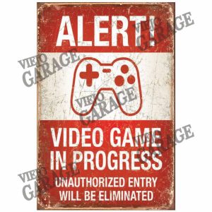 Video Game in Progress