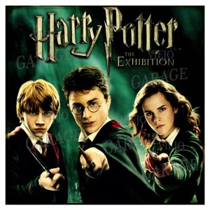 Harry Potter